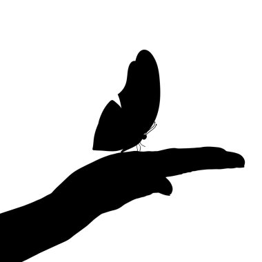 Bir kelebek yandan silüeti