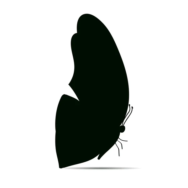 Siyah bir kelebek silüeti. — Stok Vektör