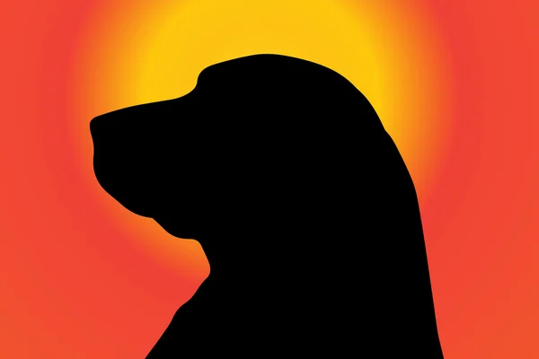 Silhouet van een hond bij zonsondergang. — Stockvector