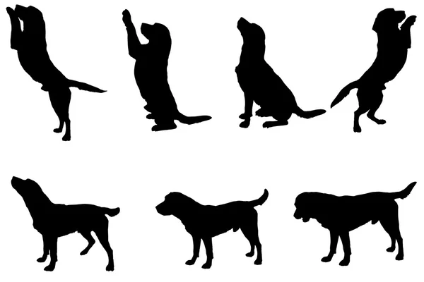 La silueta negra de los perros — Archivo Imágenes Vectoriales