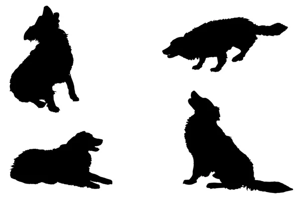 Black silhouette of a dogs — Stock Vector