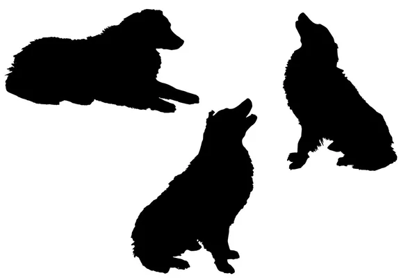 Zwart silhouet van een honden — Stockvector