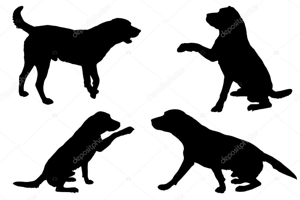 Black silhouette of a dogs