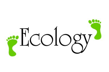 siyah yazıt tasarım