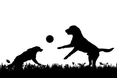 doğa köpeklerde silüeti.