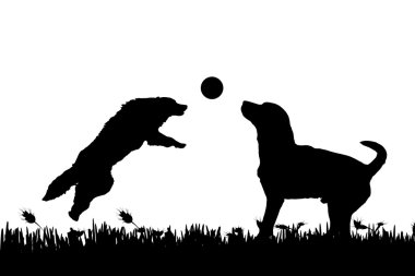 doğa köpeklerde silüeti.