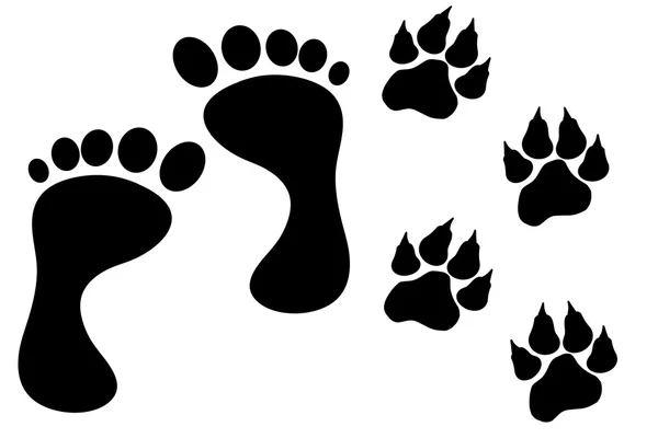 Human and dog footprints — Stock Vector