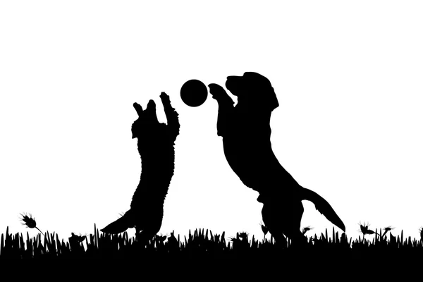 Silhouet van een honden in de natuur. — Stockvector