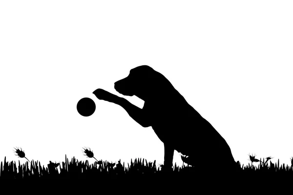 Silhouet van een hond in de natuur. — Stockvector