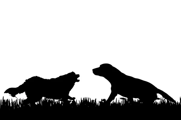 Silhouette d'un chien dans la nature . — Image vectorielle