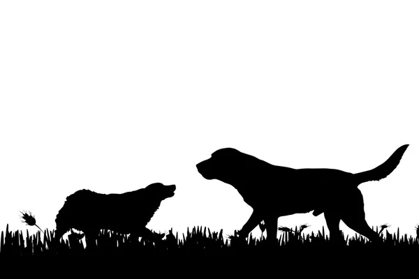 Σκιαγραφία από ένα σκυλιά στη φύση. — Διανυσματικό Αρχείο