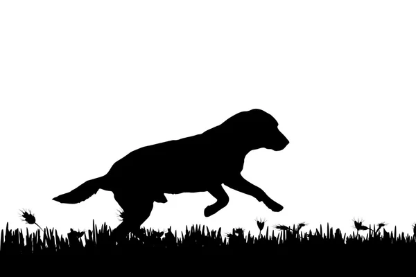 Silhouet van een hond in de natuur. — Stockvector