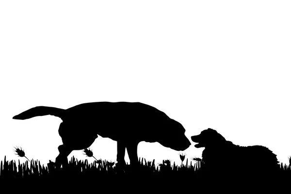 Silhouet van een honden in de natuur. — Stockvector