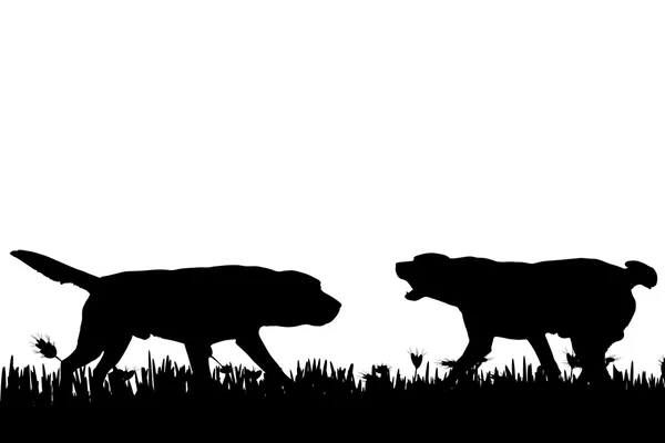 Silhouet van een honden in de natuur. — Stockvector