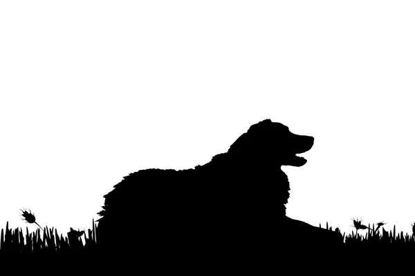 Silhouet van een hond in de natuur. — Stockvector