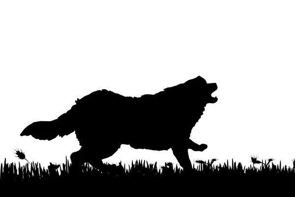 Silhouette d'un chien dans la nature . — Image vectorielle