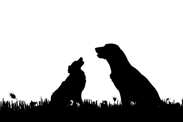 Silhouette of a dogs in nature. — Stock Vector
