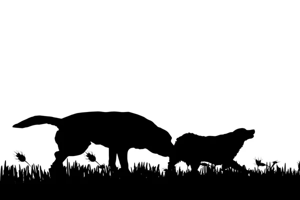 La silueta de los perros en la naturaleza . — Vector de stock