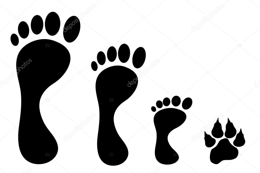 human and dog footprints