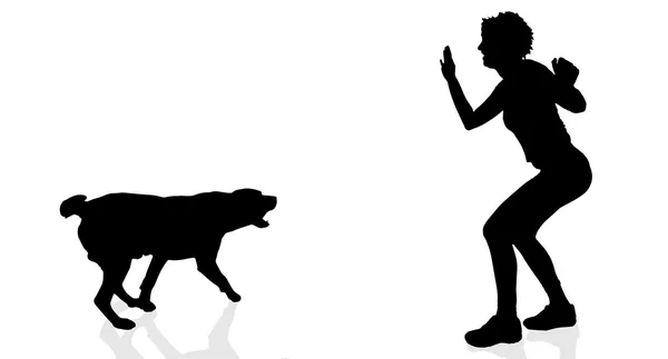 Silhouette d'une femme avec un chien — Image vectorielle