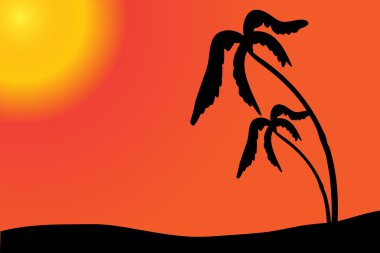 Gün batımında palmiye ağaçları.