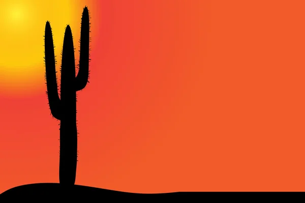 Cactus in de woestijn bij zonsondergang. — Stockvector