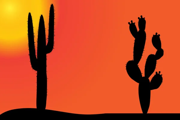 Кактус в пустыне на закате . — стоковый вектор
