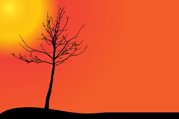 Árbol en el desierto al atardecer . — Vector de stock