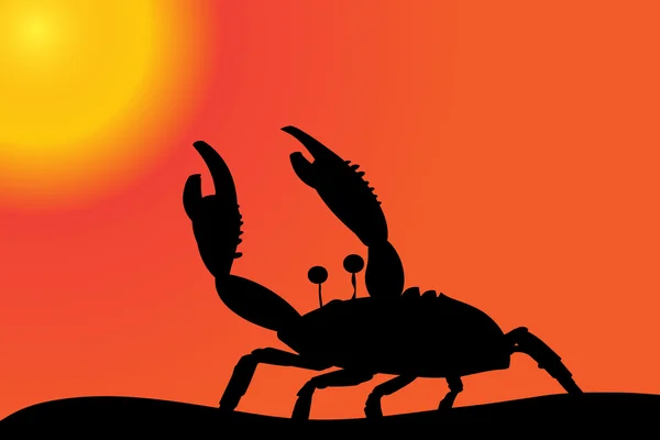 Krab op het strand bij zonsondergang. — Stockvector