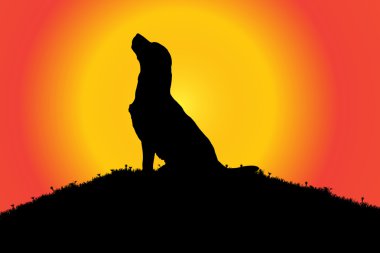 bir köpek doğada silüeti.