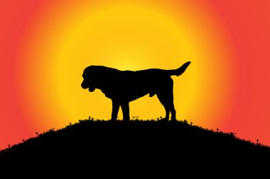 bir köpek doğada silüeti.