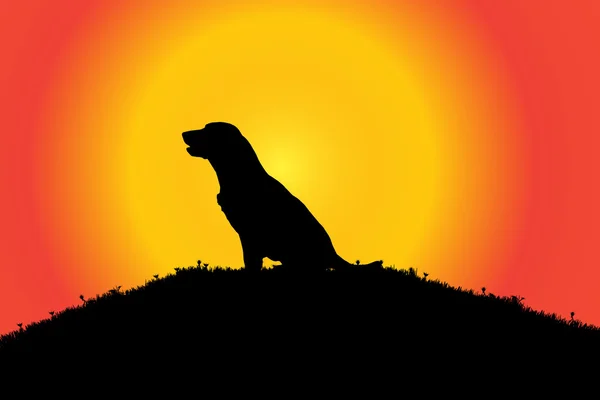 Silhouet van een hond in de natuur. — Stockvector