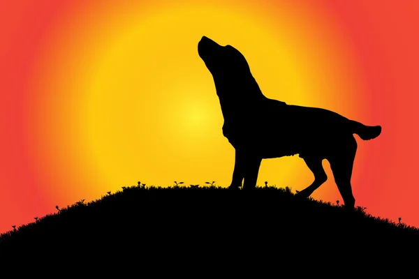 Silhouette d'un chien dans la nature . — Image vectorielle