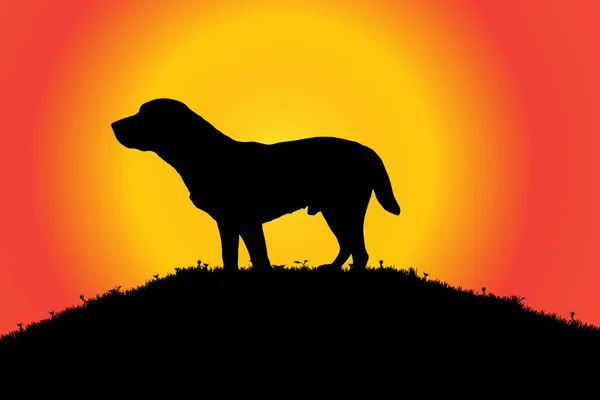 Silhouet van een hond in de natuur. — Stockvector