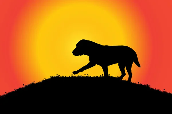 Silhouette of a dog in nature. — Stock Vector