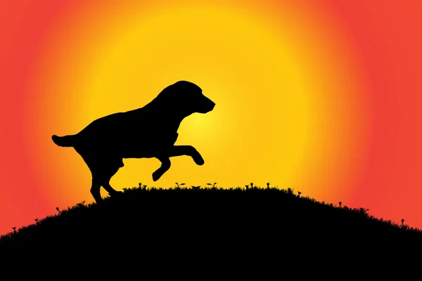 Silhouette of a dog in nature. — Stock Vector