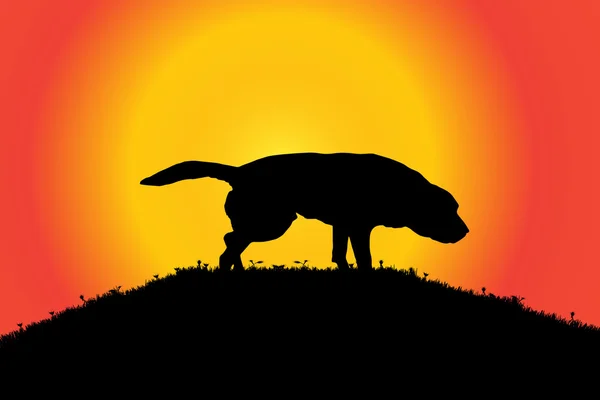 Silhouet van een hond in de natuur. — Stockvector