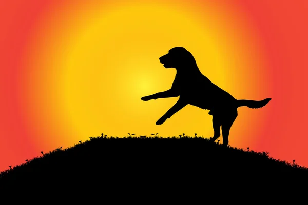 Silhouette of a dog in nature. — Stock Vector