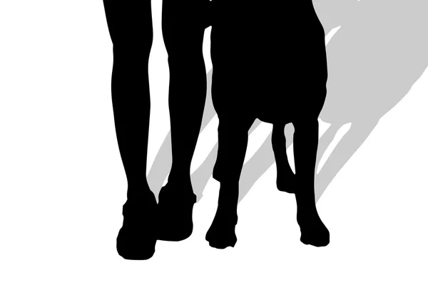 Silhouette of a woman with a dog. — Stock Vector