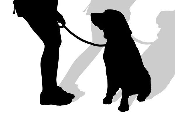 Silhouet van een vrouw met een hond. — Stockvector
