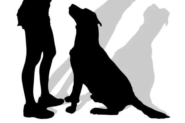 Silhouette di una donna con un cane . — Vettoriale Stock