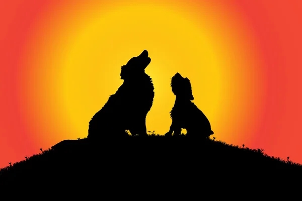 Silhouette d'un chien dans la nature . — Image vectorielle