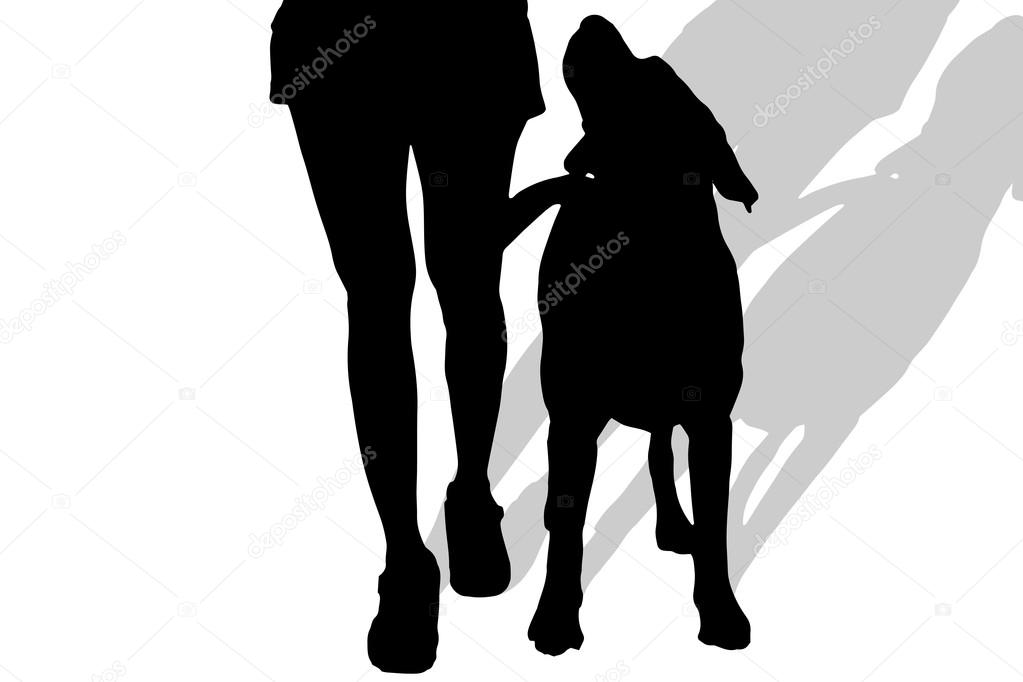 Silhouette of a woman with a dog.