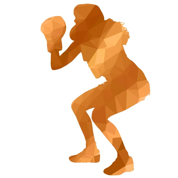 Femme basse poly boxe — Image vectorielle