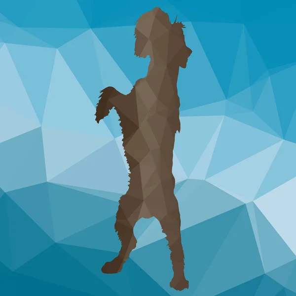 Laag poly silhouet hond — Stockvector
