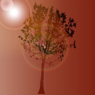 Güneş bir zemin üzerine ağaç