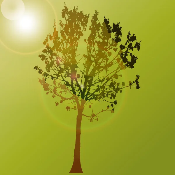 Дерево на заднем плане с солнцем — стоковый вектор