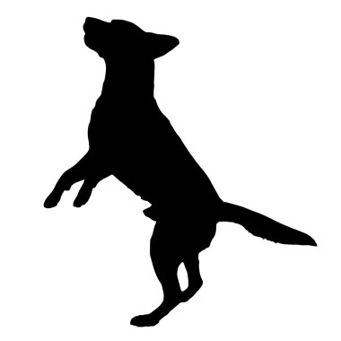Siyah bir köpek silueti.