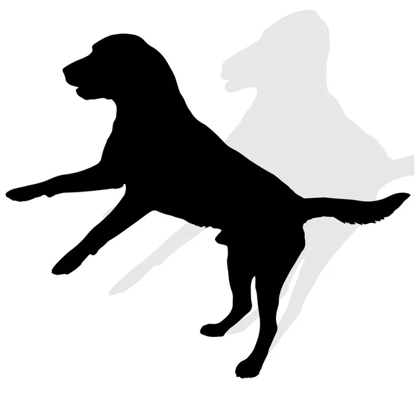 Silueta negra de un perro — Vector de stock