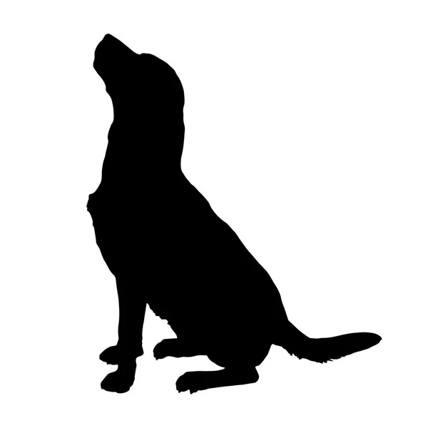 Silueta negra de un perro — Vector de stock